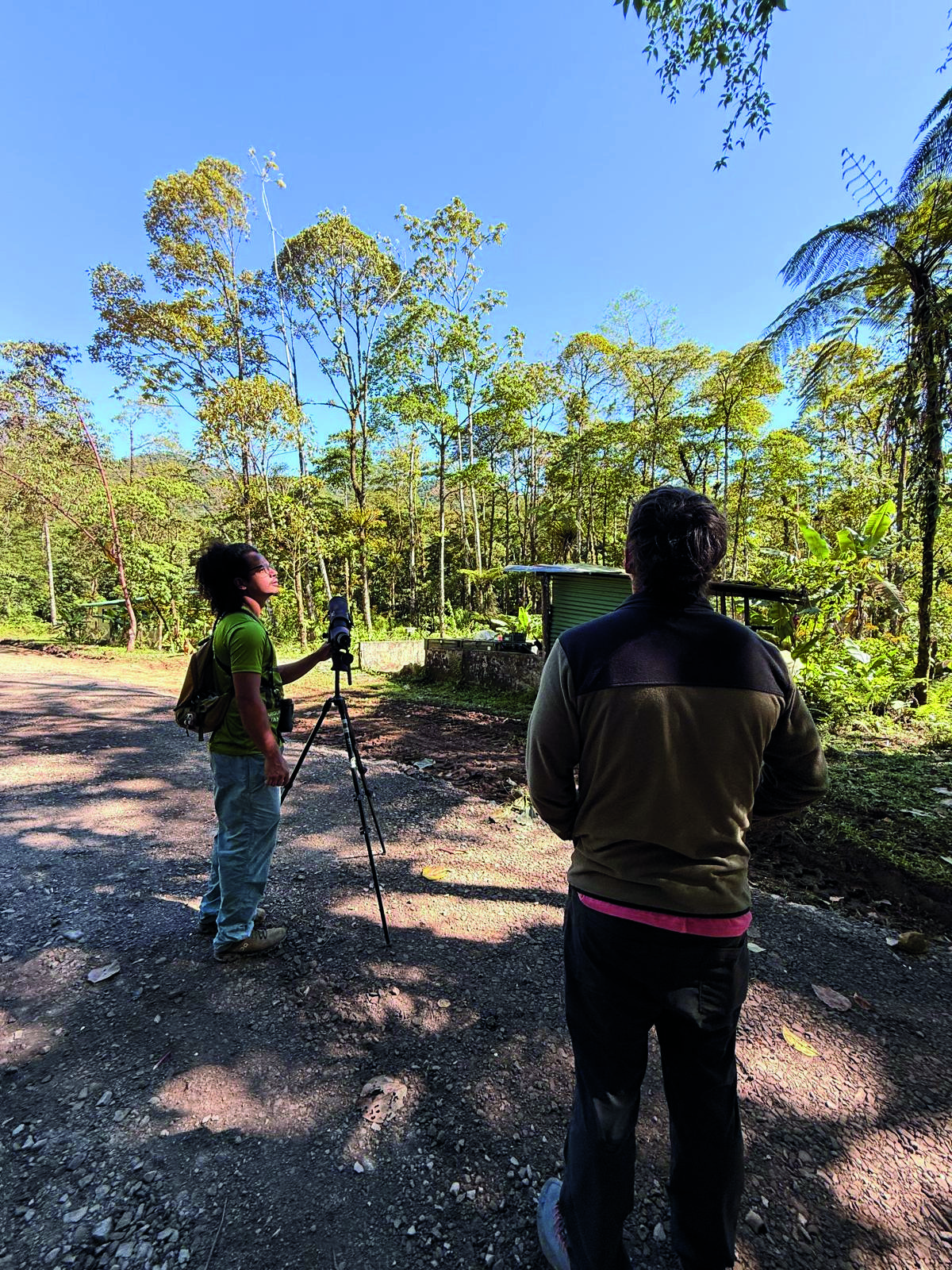 Tours around Bajos del Toro